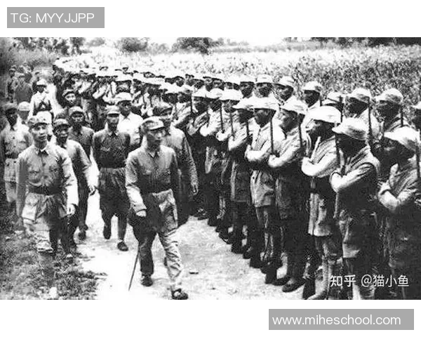 北京极限运动队进攻表现分析与战术得失探讨