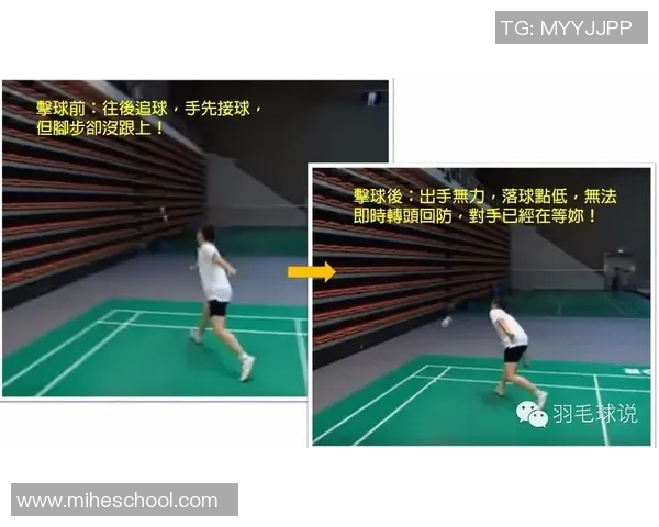 深圳羽毛球队区域防守战术解析与实战应用探讨 深圳羽毛球队区域防守战术解析与实战应用探讨