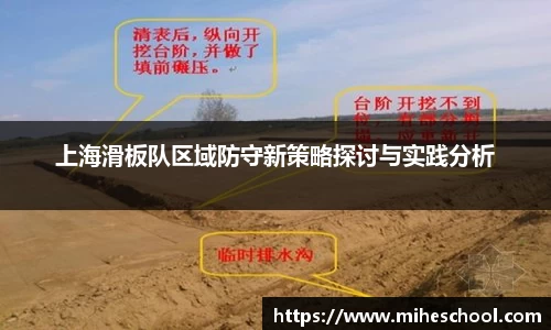 上海滑板队区域防守新策略探讨与实践分析